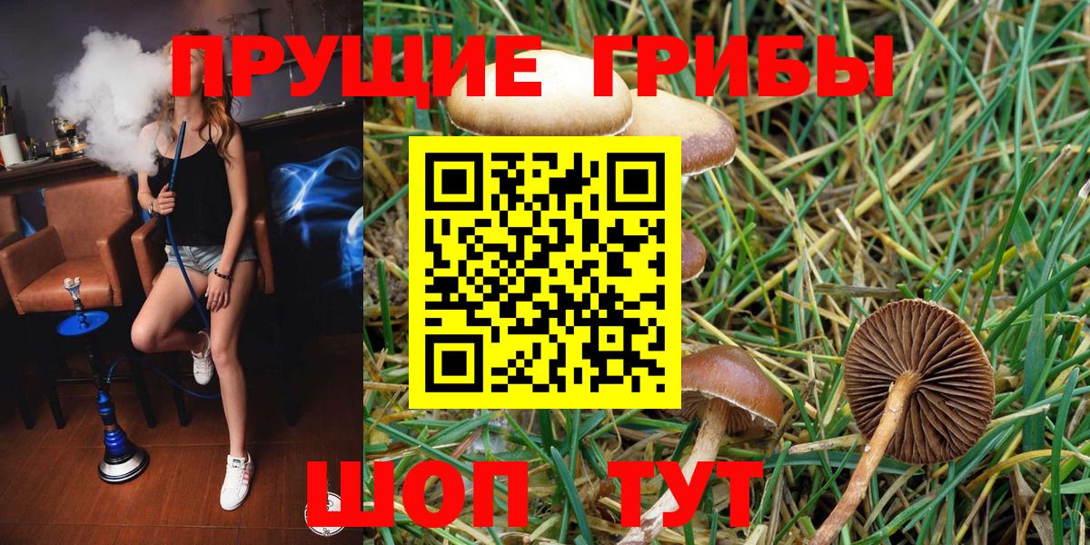 Галлюциногенные грибы Cubensis  Вход с VPN  Галлюциногенные грибы Cubensis  Унеча 