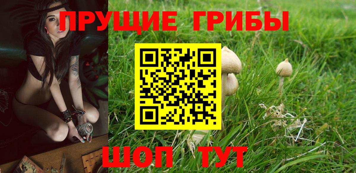 Галлюциногенные грибы прущие грибы Унеча
